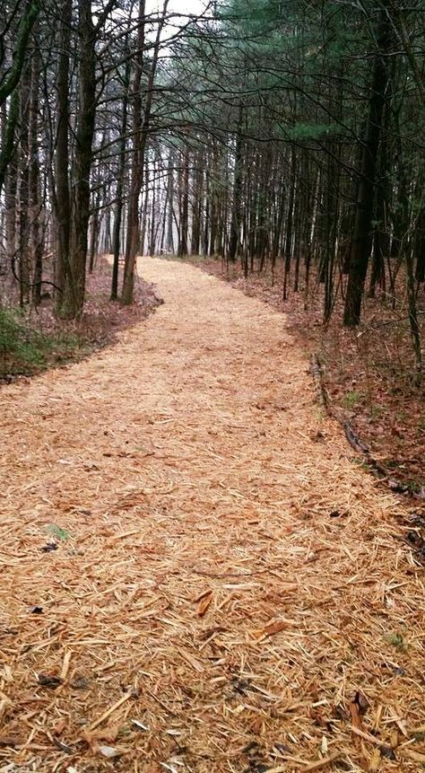 Natural Path using light colored wood chip mulch from Helmsburg Sawmill, Inc. Hillside Landscaping Ideas, Wood Chip Mulch, Wood Walkway, Mailbox Landscaping, Mulch Landscaping, Walkway Ideas, Hillside Landscaping, Lawn Sprinklers, Concrete Driveways