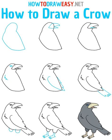 How to Draw a Crow - How to Draw Easy How To Draw Crow, Drawings Of Crows, Crow Drawing Easy, Crow Drawing Simple, Crow Drawing Sketch, Drawing Birds Easy, Drawing Easy For Kids, Crow Drawing, Crow Pictures