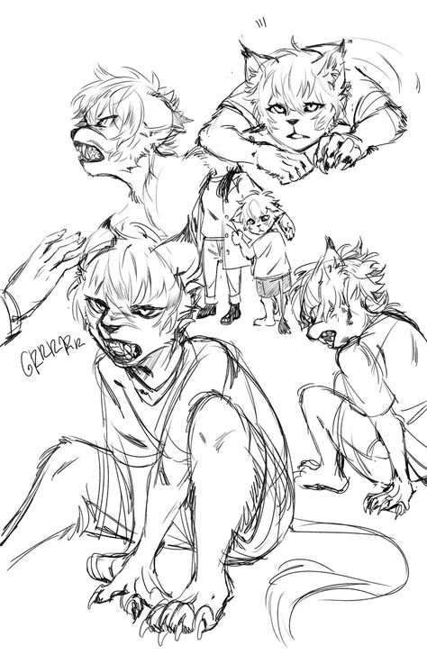 Human Animal Hybrid Drawing Reference, Feral Poses Reference Human, Lion Oc Human, Dog Cat Hybrid Drawing, Anthro Dog Reference, Cat Dog Hybrid Art, Snow Leopard Fursona Art, Cat Dog Hybrid Fursona, Draw Comics