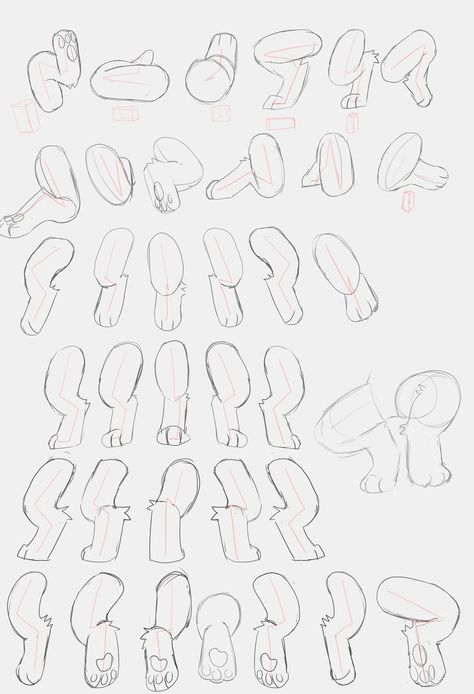 Leg Study, Leg Angles, Leg Drawing, Paw Drawing, Cat Drawing Tutorial, Cat Anatomy, Creative Drawing Prompts, Art Tools Drawing, Concept Art Drawing