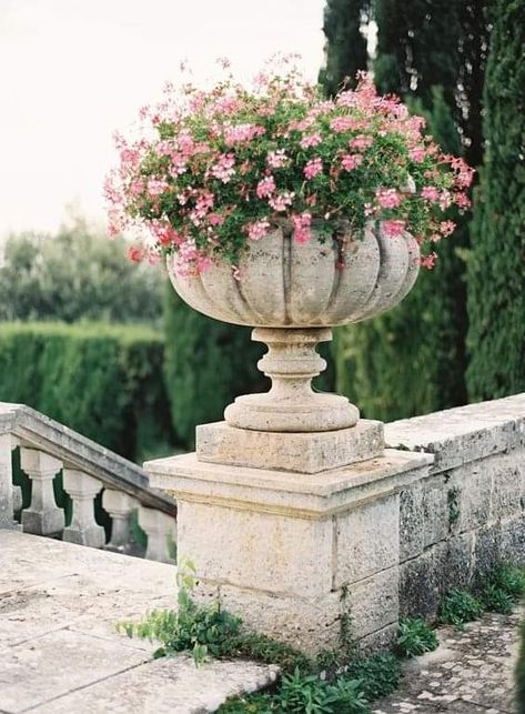 Italianate Garden, Beach Courtyard, Roman Garden, Garden Layouts, Flower Urn, Tuscan Garden, Container Garden Design, European Garden, Outdoor Patio Ideas