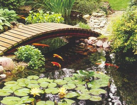 landscaping koi pond | www.make-my-own-house.com/front-yard-… | Flickr Aesthetic Koi Pond, Coy Fish Pond, Debut Inspiration, Aesthetic Pond, Pond Pictures, Pond Aesthetic, Coy Pond, Backyard Bridges, Pond Bridge