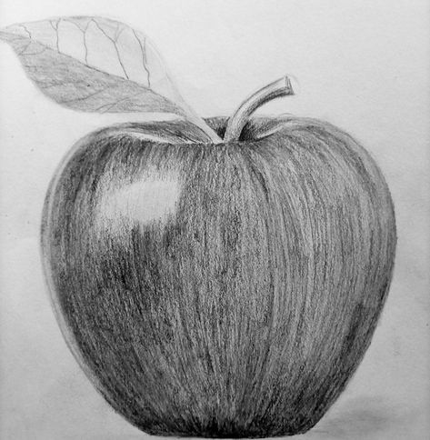 Apple Sketch Pencil, Apple Pencil Drawing, Apple Sketch, Pencil Sketch Art, Drawing Shading, Art Tut, Pencil Shading, Art Sketches Pencil, Sketch Art