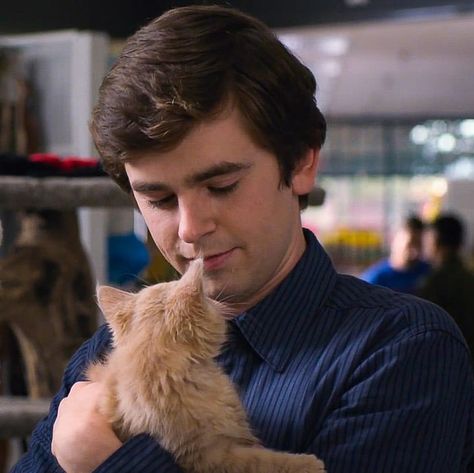 Good Doctor Cast, Good Doctor Series, The Good Dr, Shaun Murphy, The Good Doctor, Pusheen Cute, Norman Bates, Freddie Highmore, Richard Gere