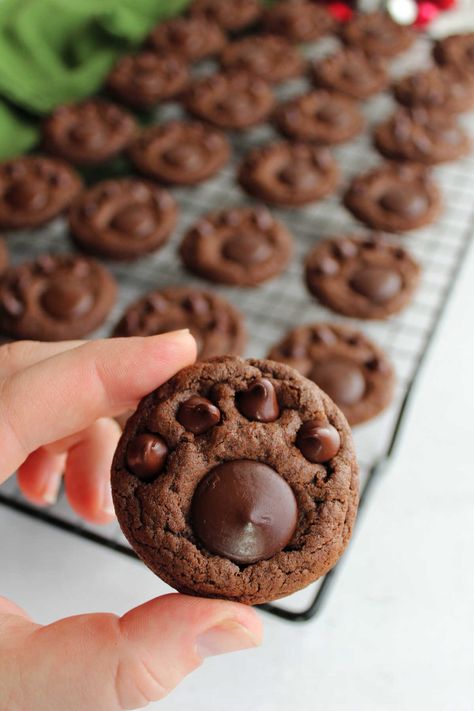 Double Chocolate Paw Print Cookies 10 Paw Print Cookies, Xmas Cookies Recipes, Baby Boy Teddy Bear, Andes Mint Cookies, Soft Chocolate Cookie, Paw Cookies, Jam Thumbprint Cookies, Fall Cookie Recipes, Chocolate Dog