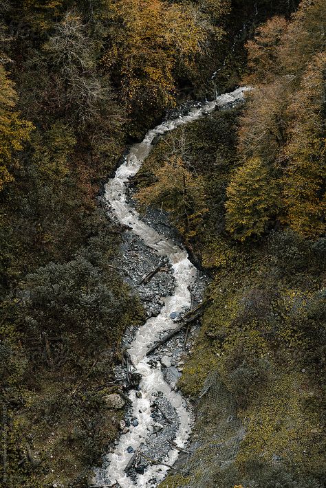 River Top View, Trees From Above, River Birds Eye View, Creek Water, River From Above, River Water Flowing Video, Forest Reflection In Water, Water Stream, Forest Trail