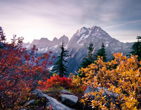 Fall Mac Wallpaper, Small Town Washington, Washington Fall, Washington State Hikes, Fall Hikes, Living In Washington State, Green Scenery, Washington Hikes, Cascade National Park