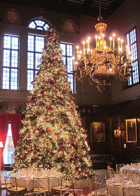 Christmas at the Harvard Club, NYC 21 Party, Beautiful Christmas Trees, Noel Christmas, Elegant Christmas, Christmas Love, Christmas Aesthetic, Christmas Joy, Christmas Wedding, Christmas Inspiration