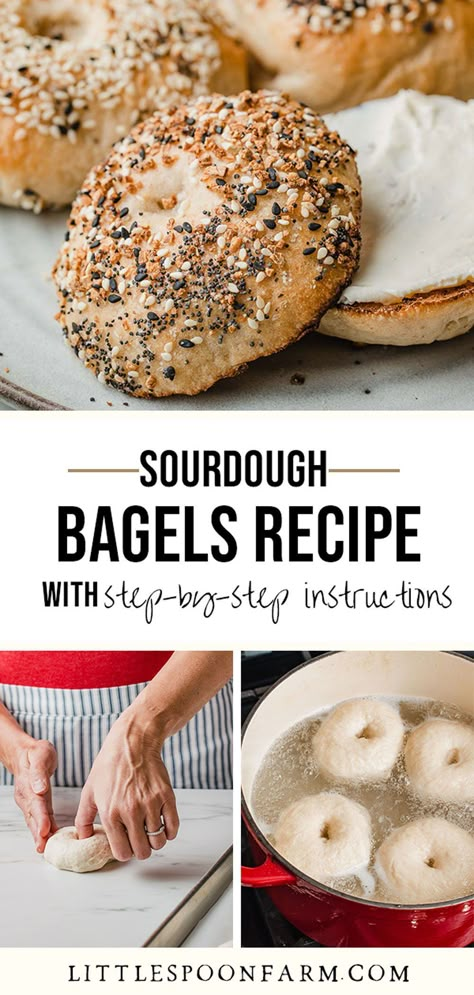 Bread Recipe With Sourdough Starter, Simple Sour Dough Bread Recipe, Cultured Guru Sourdough, Sourdough Bagels Recipe Discard, Sourdough Bagels Recipes, Soughdough Bread Recipes, How To Make Bread Sourdough, Sourdough Bagels No Mixer, Discard Sourdough Begals