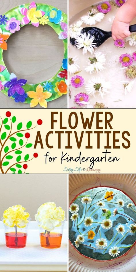 Flower Activities for Kindergarten Flower Activities For Kindergarten, Flowers Activity For Kindergarten, Flower Exploration Preschool, Pin The Flower On The Stem Game, Parts Of A Flower Craft, Flower Craft Elementary School, Blooming Flower Activity, Flowers Kindergarten, Flower Activity