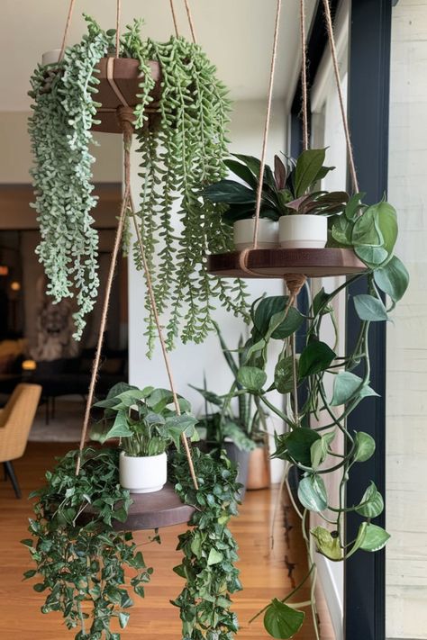 Enhance your home with a hanging green oasis. Use circular wooden trays and rope hangers to suspend lush greenery, featuring cascading vines and compact potted plants. Perfect for adding natural elegance near windows or cozy living spaces. #HangingGreenOasis #IndoorPlantDisplay #VerticalGarden #NaturalHomeDecor #PlantStylingIdeas #RopeHangerDecor #HangingPlants #CompactGreenery #WindowPlantSetup #EcoChicDesign Cute Hanging Plants, Plants From Ceiling, Plants Shelf, Indoor Plant Display, Window Plants, Wooden Trays, Hanger Decor, Green Oasis, Hanging Plant Holder