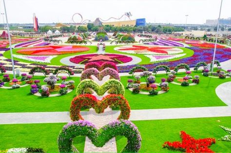 Million Flowers, Miracle Garden, Most Beautiful Gardens, Dubai Travel, Infinity Dress, Dress Wrap, Ideas Garden, Dress Flower, Flowers Garden