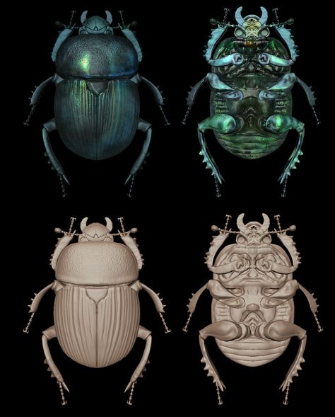 Beetle Drung | Gallery | Area by Autodesk Beetle Shell, Dung Beetle, Beetle Art, Gold Digital Paper, Beetle Insect, Animal Anatomy, Scarab Beetle, Lamborghini Cars, Space Opera