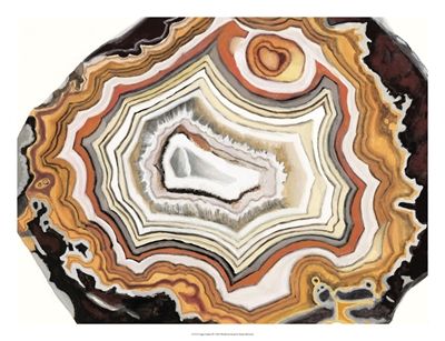 World Art Group, Agate Studies IV, Naomi McCavitt Minerals Museum, Rocks Crystals, Beautiful Stones, Minerals And Gemstones, Rock Hounding, Decal Wall Art, Crazy Lace Agate, Gems And Minerals, Fine Arts Posters