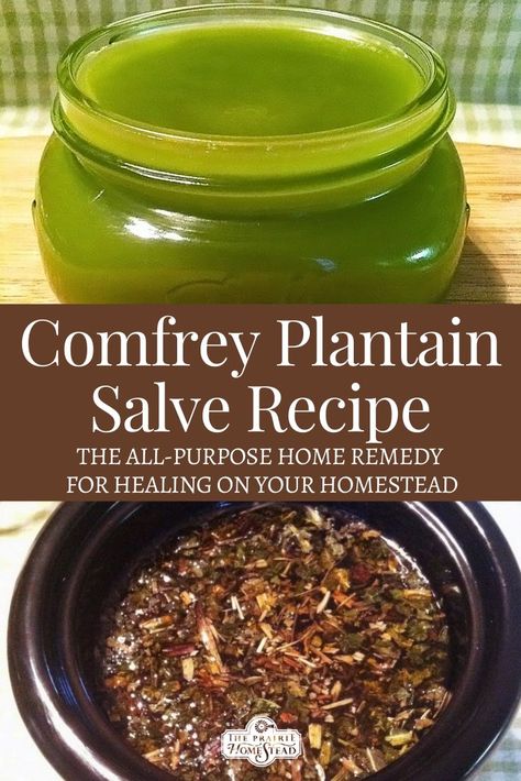 This natural homemade comfrey salve recipe is a wonderful, all purpose healing remedy for humans and animals alike. How To Make Comfrey Salve, Comfrey Tincture Recipe, Diy Comfrey Salve, Comfrey Compress, Plantain Salve Recipe, Arnica Comfrey Salve, Mint Salve Recipe, Plantain Salve, Homemade Salves And Balms