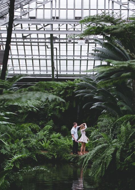 Botanical Garden Photo Shoot, Greenhouse Photos, Garden Photo Shoot, Greenhouse Photoshoot, Greenhouse Engagement, Garfield Park Conservatory, Garden Photoshoot, Ambitious Kitchen, Couples Shoot