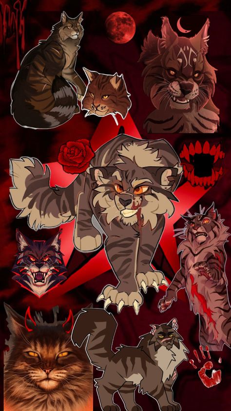 Warrior cats Tigerstar collage Warrior Cats Tigerstar, Cat Collage, Future Wallpaper, Scary Art, Warrior Cat, Warrior Cats, Collage, Art