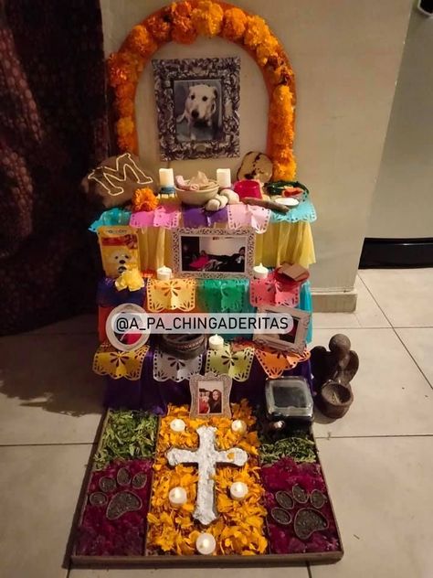 Pet Ofrenda Ideas, Dog Ofrenda, Pet Ofrenda, Dia De Los Muertos Party Ideas, Dia De Los Muertos Decorations Ideas, Mini Altar, Diy Tray, Paper Mache Crafts, 80s Party