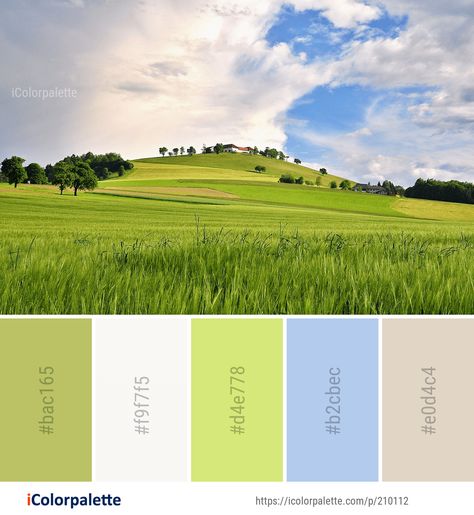 Color Palette ideas from 2538 Cloud Images | iColorpalette Aesthetic Green Color Palette, Environment Color Palette, Eco Color Palette, Landscape Color Palette, Soothing Paint Colors, Cloud Images, Environment Logo, Palettes Color, Color Palette Ideas