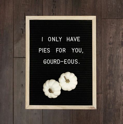 Letter board quote, funny letterboard ideas, For more tips, ideas, and inspiration, follow @our.cultivated.home on IG Letter Board Quotes Thanksgiving, Letter Board Fall Quote, Funny Fall Message Board Quotes, Thanksgiving Letter Board Funny, Fall Puns Letterboard, Funny Fall Sayings For Letter Boards, Funny Letterboard, Thanksgiving Letter Board, Fall Letterboard