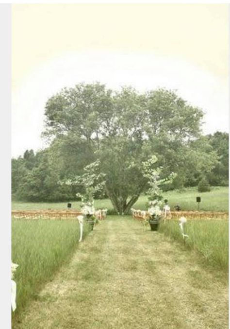 Ceremony Cross, Tree Wedding Ceremony, Backyard Wedding Ceremony, Field Wedding, Lil Sis, Wedding Inspiration Board, Outside Wedding, Big Tree, Gay Wedding