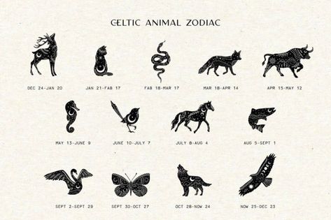 Celtic Zodiac Signs, Animal List, Celtic Zodiac, Zodiac Signs Animals, Celtic Animals, Western Signs, Animal Zodiac, Sign Meaning, Animal Spirit