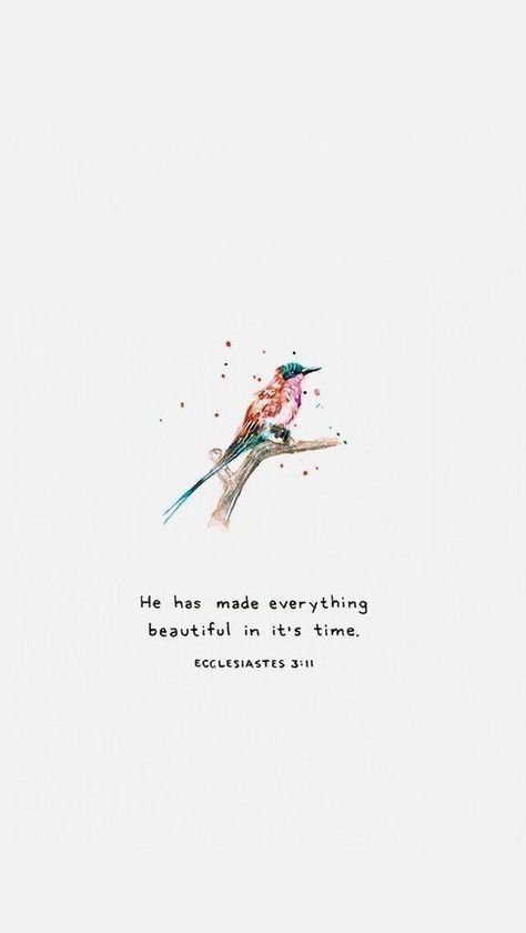 Ecclesiastes 3 11 Wallpaper, Iphone Wallpaper Quotes Bible, Bible Verse Wallpaper Iphone, Iphone Wallpaper Bible, Iphone Wallpaper Quotes, Iphone Wallpaper Quotes Inspirational, Ecclesiastes 3 11, Iphone Quotes, 11 Wallpaper