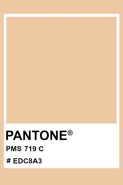 PANTONE 719 C #pantone #color #PMS #hex Orange Pantone, Pantone Matching System, Soft Autumn Color Palette, Pantone Palette, Pantone Colour Palettes, How To Get Tan, Soft Orange, Color Chip, Fall Color Palette