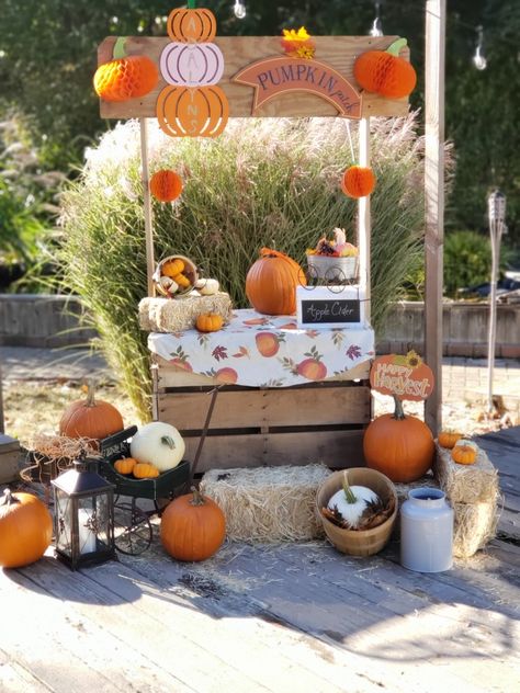 Pumpkin Farm Stand, Pumpkin Patch Stand, Selling Stand, Farmer Halloween, Farmers Market Birthday Party, Fall Festival Games, Pumpkin Chip, Pumpkin Stand, Festival Games