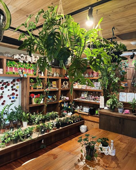 remembered I had free will and spent time at a plant & coffee shop ☕️🍃 #books #reading #coffee #coffeshop #plantlover #plants Plant Coffee Shop, Plant Shop Aesthetic, Plant Store Aesthetic, Plant Shop, Metaphysical Shop, Coffee Shop Interior Design, Plant Book, Coffee Plant, Coffee Shops Interior