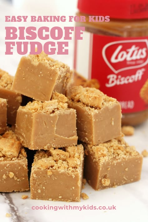 Easy To Make Fudge, Condensed Milk No Bake Recipes, Condensed Milk Fudge 3 Ingredients, Easy Biscoff Recipes, Biscoff Christmas Recipes, Caramel Condensed Milk Recipes, Flavoured Fudge Recipe, Fudge Recipes With Condensed Milk, Condensed Milk Fudge Recipes