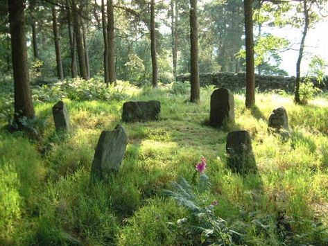 Old Cemetery, Baba Jaga, Stone Circles, Stone Circle, Standing Stones, Standing Stone, Arte Inspo, Sacred Places, Stonehenge