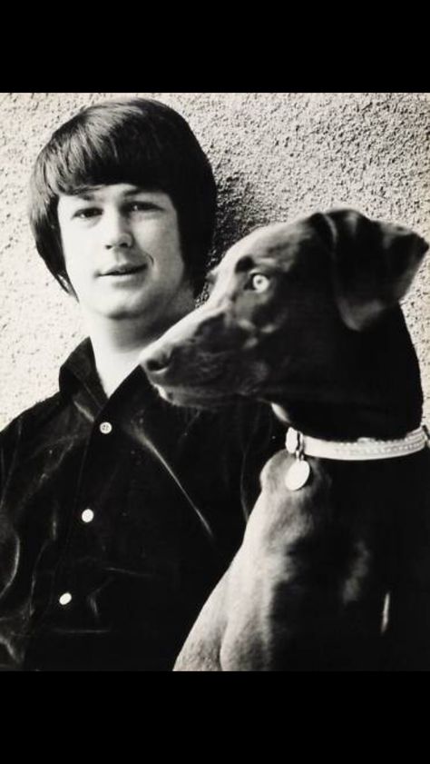 Brian Wilson and his Weimaraner, Louie Pet Sounds Beach Boys, Wilson Brothers, Carl Wilson, Derek And The Dominos, Jesse Owens, Rick James, Pet Sounds, High School Memories, Project D