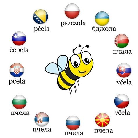 Slavic Languages, Czech Language, Learn Polish, Slavic Culture, Ukrainian Language, Polish Language, Multi Language, Word Of Advice, Slovakia