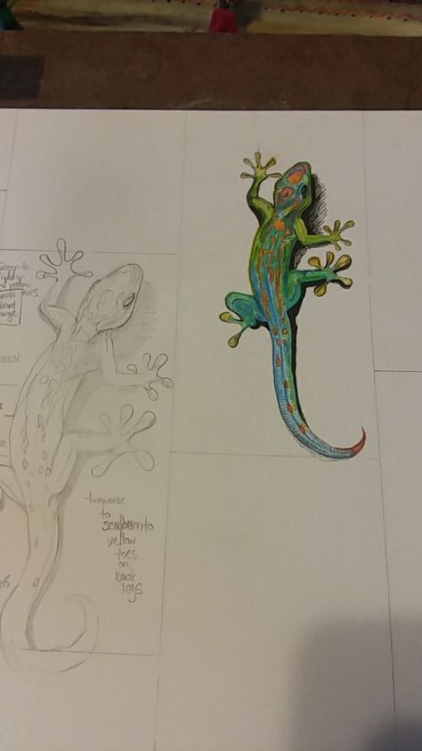 Gold Dust Day Gecko Tattoo, Geko Lizard Drawing, Cute Lizard Art, How To Draw A Lizard, Geico Tattoo, Gecko Sketch, Watercolor Gecko, Cute Snake Art, Gecko Tattoo Design