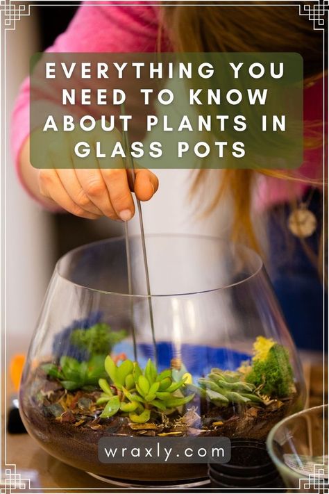 Planting In Glass Containers, Clear Planter Ideas, Plants In Clear Pots, Plants In Glass Containers, Succulents In Glass Containers, Best Plants For Closed Terrariums, Best Closed Terrarium Plants, Plants In Glass Bowl, How To Take Care Of Terrarium