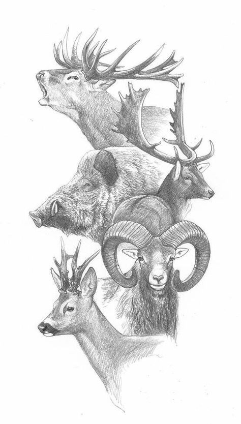 Hunting Drawings, Hunting Tattoos, Deer Drawing, Regnul Animal, Deer Tattoo, Hunting Art, Deer Art, Animal Sketches, Wildlife Art