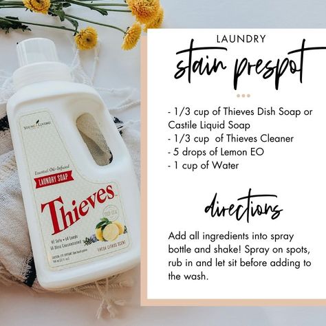 Thieves Cleaner Recipe, Hair Perfume Diy, Esential Oils, Stain Remover Spray, Thieves Cleaner, Thieves Household Cleaner, Diy Essential Oil Recipes, Essential Oils For Kids, Young Living Essential Oils Recipes