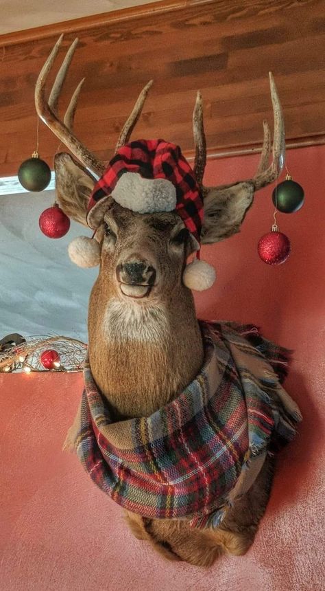 Christmas Decorated Antlers, Antlers In Christmas Tree, Frame Around Deer Mount, Decorating With Antlers For Christmas, Rustic Deer Christmas Tree, Moose Taxidermy Mounts, Antlers Christmas Decor, Wreath Around Deer Mount, Taxidermy Christmas Decor