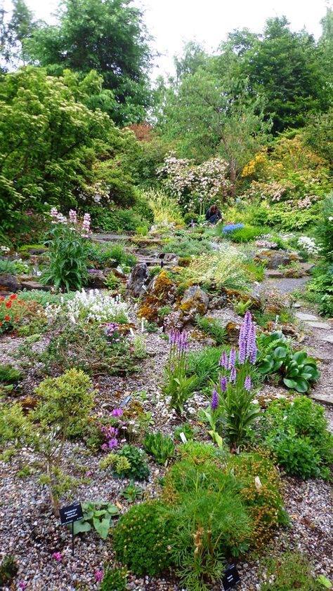 Scottish Garden Ideas, Scottish Gardens, Scotland Garden, Garden Hillside, Scottish Garden, Conifer Garden, Rockery Garden, Small Garden Shed, Scottish Homes