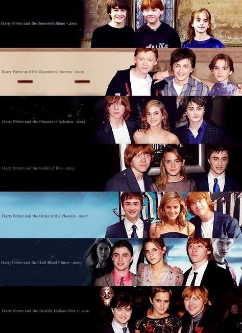 Hogwarts Alumni: Harry Potter Cast Evolution The Golden Trio, Ron Hermione, Hogwarts Alumni, Buku Harry Potter, Images Harry Potter, Harry Potter Film, Harry Potter Cast, Harry Potter Love, Wallpaper Trends