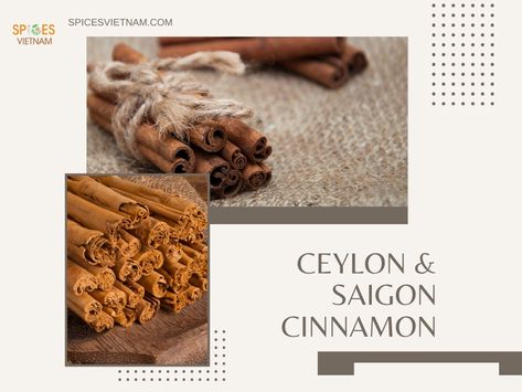 If you're a cinnamon lover, you won't want to miss our article on the distinct characteristics of Ceylon and Saigon cinnamon Cinnamon Uses, Saigon Cinnamon, Pumpkin Pie Spice Mix, Cassia Cinnamon, Cinnamon Benefits, Ceylon Cinnamon, Lower Blood Sugar, Spice Blends, Spice Mixes