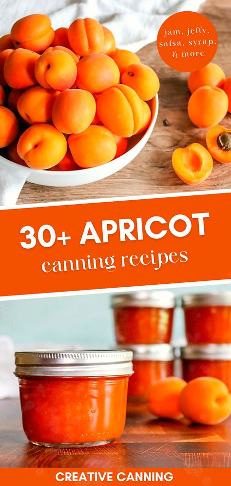 Apricot Salsa Recipes Canning, Apricot Salsa Recipes, Canning Apricots Recipes, Apricot Jam With Pectin, Apricot Canning Recipes, Apricot Jam Recipe With Pectin, Apricot Syrup Recipe, Apricot Filling Recipe, Easy Apricot Jam Recipe