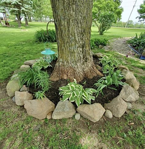 Landscape Base Of Tree, Rock Border Around Tree, Circle Around Tree, Landscape Decorating Ideas, Rocks Around Tree Landscaping, Rock Bed Around Tree, Tree Wells Landscaping, Rocks Around Flower Bed, Rock Beds Around House Farmhouse