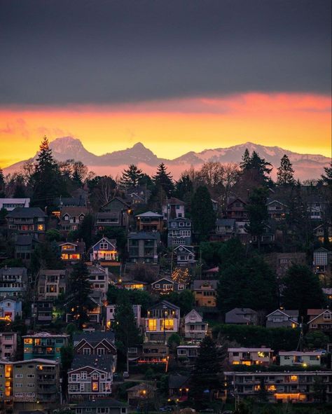 Pnw Aesthetic, Seattle Travel Guide, Health Wealth And Happiness, Seattle Travel, Downtown Seattle, University Of Washington, Emerald City, Health Wealth, Dream City