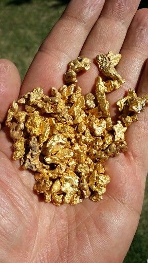 Australian gold nuggets Gold Nuggets Natural, Raw Gold, Lingot D'or, Natural Gold Nugget, Gold Bullion Coins, Panning For Gold, Gold Bullion Bars, Gold Prospecting, Australian Gold