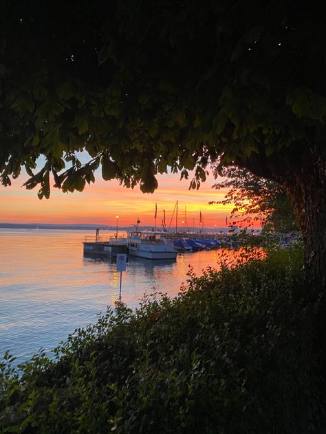 Lake Constance Germany, Summer Sunset Aesthetic, Germany Summer, Lake Constance, Summer To Do List, Studying Abroad, Summer Lake, Sunset Aesthetic, Alpine Lake