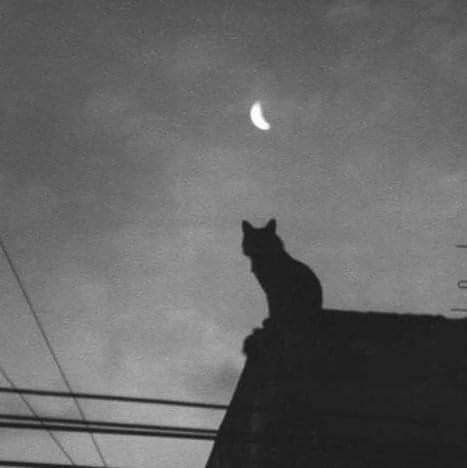 Dark Emo Aesthetic Wallpaper, Emo Aesthetic Wallpaper, Blackandwhite Aesthetic, Black Cat Aesthetic, Aesthetic Moon, Black Mage, Cat Profile, Medieval Europe, Moon Cat