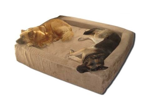 The Comfort Nest Memory Foam Bolster Dog Bed features a BioMedic memory foam center cushion plus a bolster on all four sides. The bolsters are capped with BioMedic foam providing a memory foam surrounding pillow! BioMedic memory foam dog beds are not only the most comfortable sleep surface ever invented for your dog, they are also much denser than other dog beds. BioMedic memory foam dog beds perfectly balance the orthopedic support foam necessary to ease sore aching joints with the incredible Double Dog Bed, Big Dog Beds, Cheap Dog Beds, Dog Bed Sizes, Dog Cots, Round Dog Bed, Bolster Dog Bed, Covered Dog Bed, Memory Foam Dog Bed