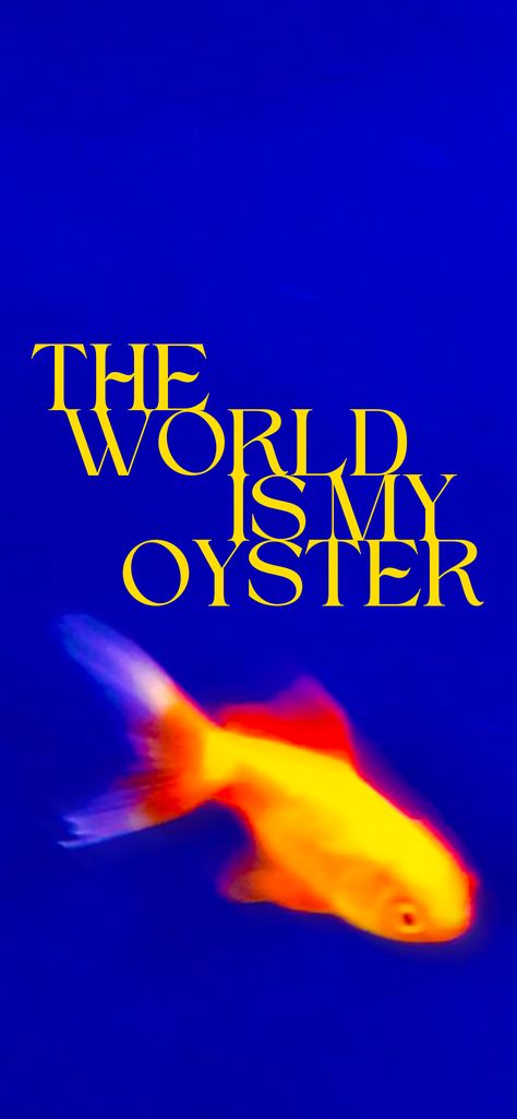 Oyster Wallpaper, The World Is My Oyster, The World Is Your Oyster, Wallpapers, Collage, The World, Pins, Quick Saves